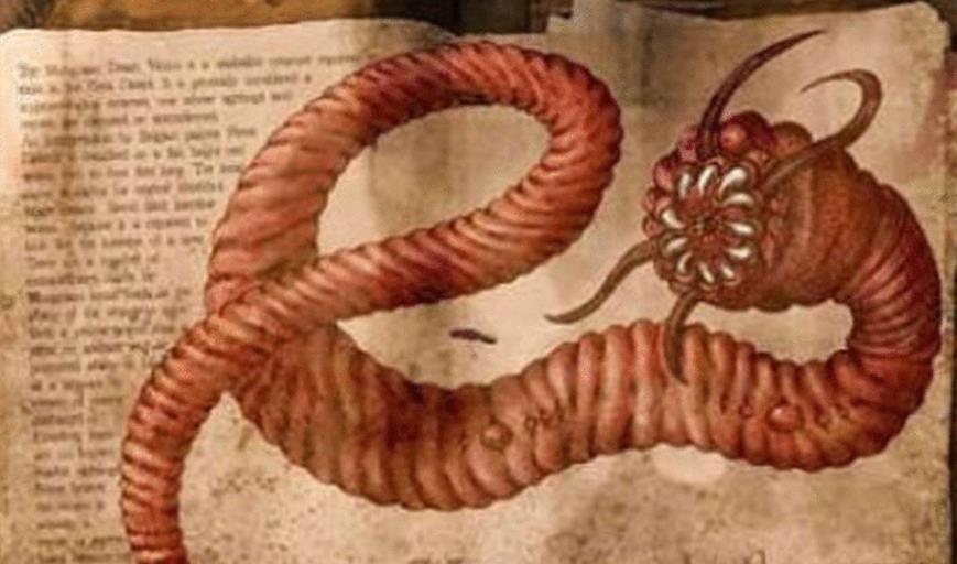 这5种动物神出鬼没,究竟是已灭绝还是没被人类发现?