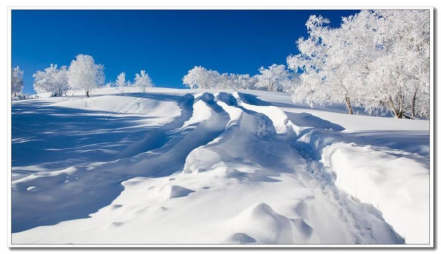 全球气温上升是假的? 霍金: 谁怀疑全球变暖? 