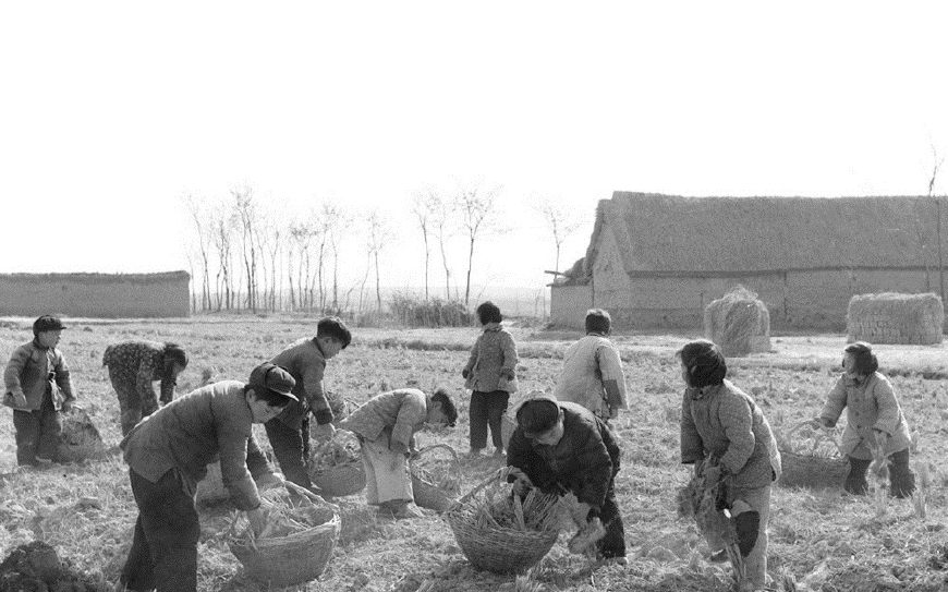50年代老照片,图1过新年小孩子的最爱
