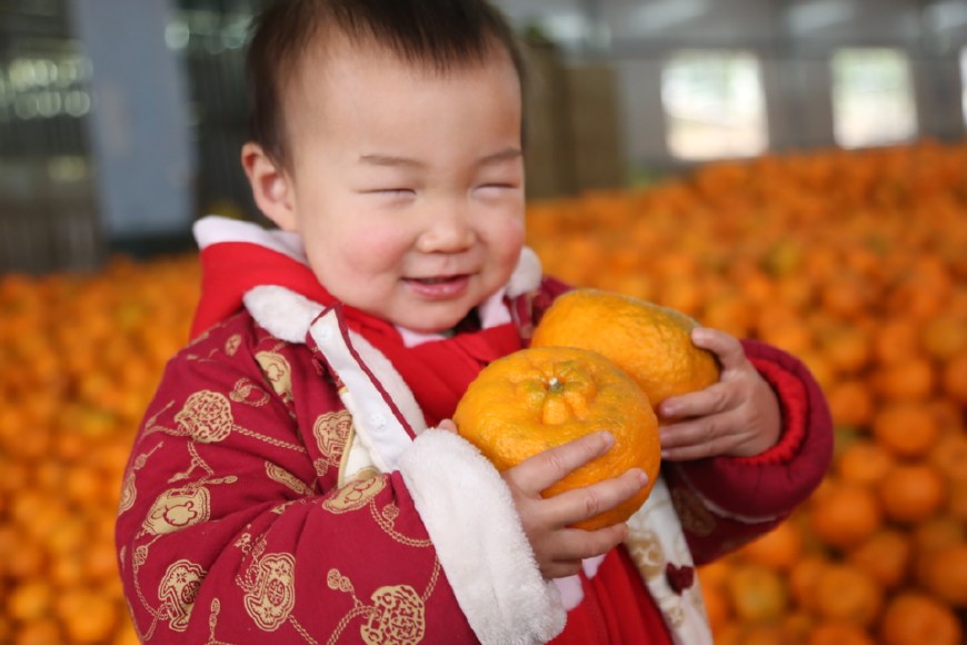 萌娃儿遇到清江椪柑 摆各种姿势卖萌,笑坏现场