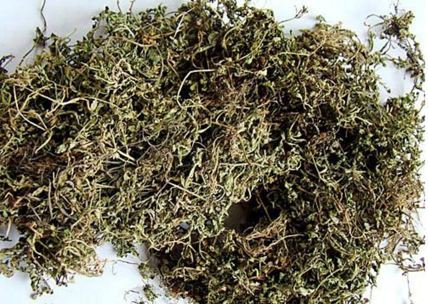 让大家少走弯路,少花冤枉钱,                    友早日摆脱鼻炎困扰