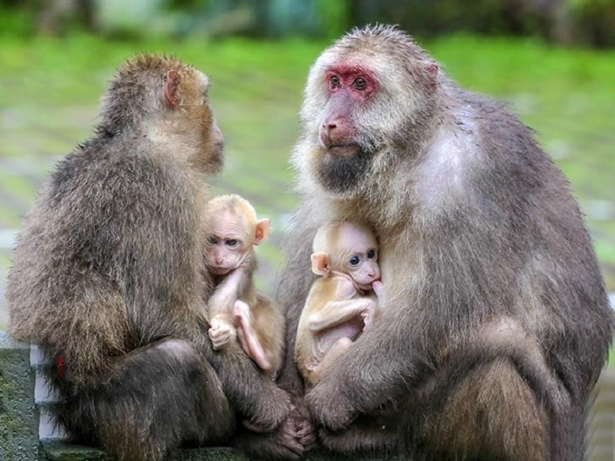 盘点中国10大禁菜, 温水煮泥鳅、泥鳅钻豆腐这