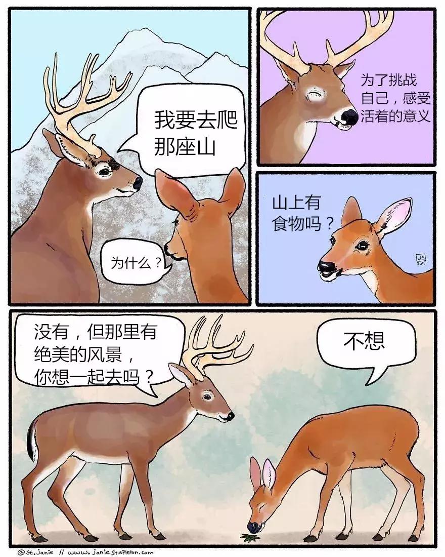 幽默漫画: 动物讲述的有趣故事
