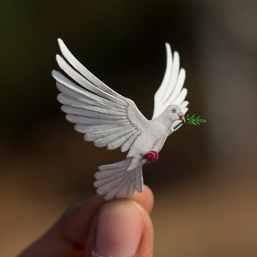 图为象征着和平的白鸽.