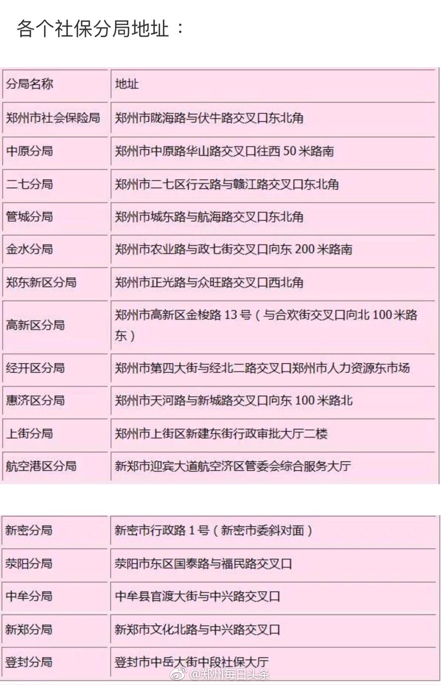 查询个人社保缴纳记录 郑州社保网址是什么