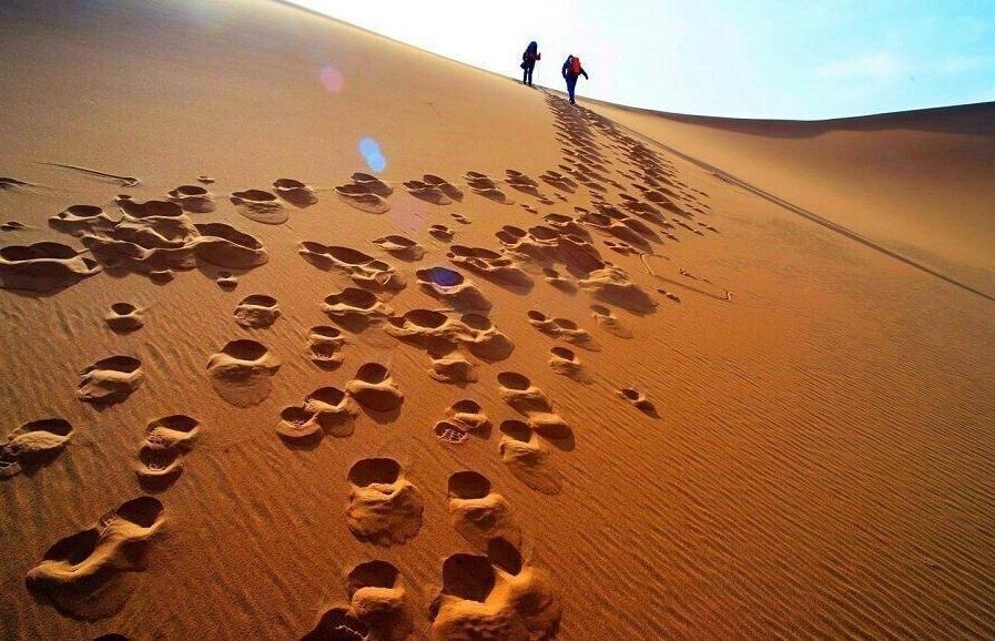 春游腾格尔沙漠, 篝火, 烧烤, 看星星, 谈人生, 感