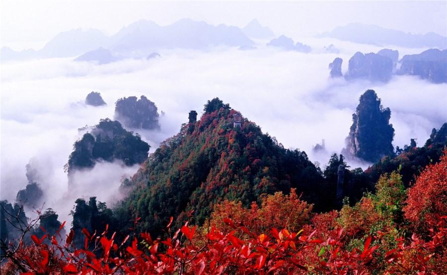湖南这两个国家5a景区同是世界自然遗产看看有在你家乡的吗
