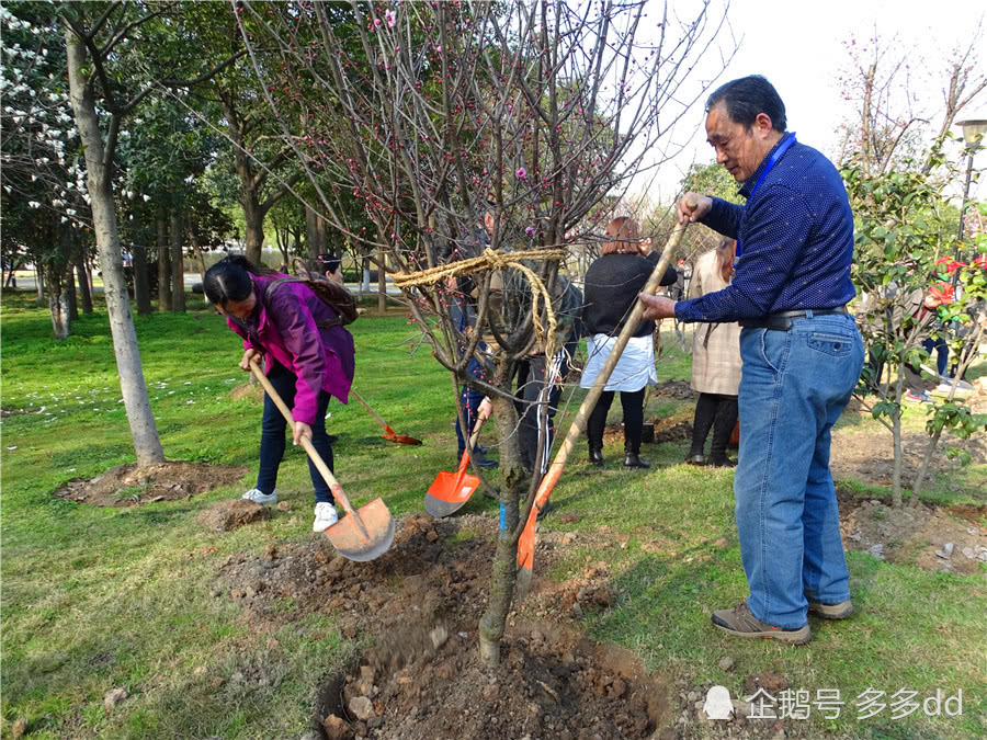 播种希望 诵读春天 月湖公园植树节活动