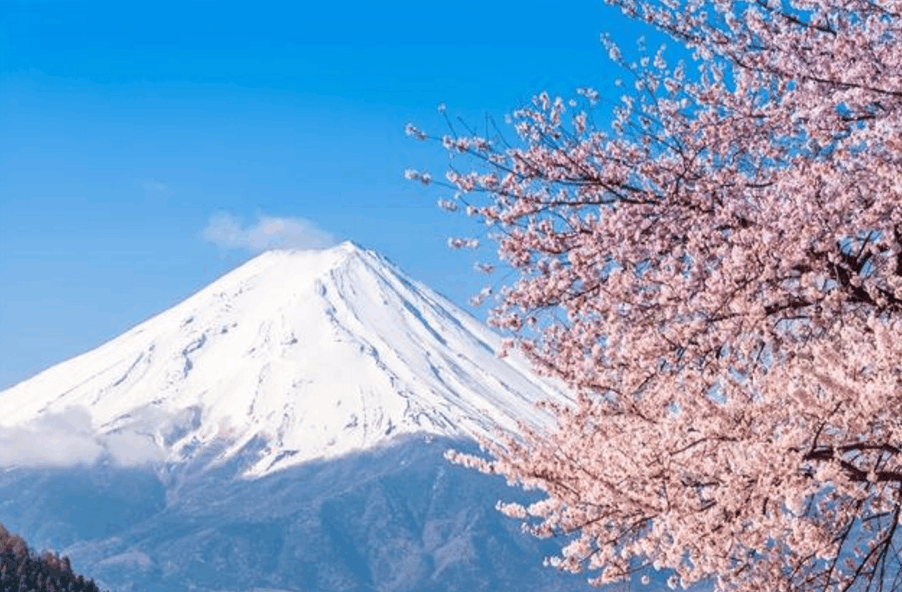 中国有春节, 西方有圣诞, 日本韩国越南这些国家