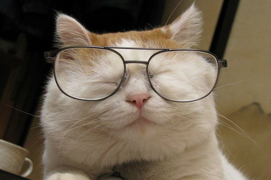 刚上大学那会学校军训,要求所有男生都要把头