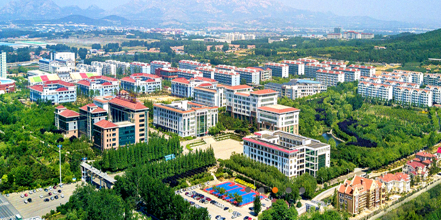 山东外国语职业学院