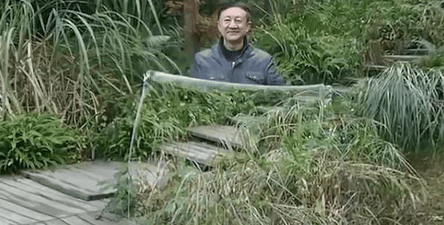 发明“隐形斗篷”吓懵外国人, 竟是骗局