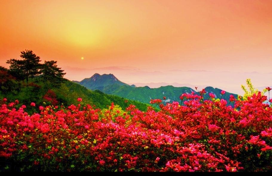 麻城经济能够实现弯道赶超、追上沿海地区吗?