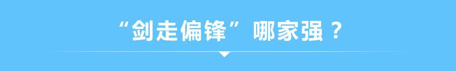 众口难调的中国市场 到底需要怎样的轿车?