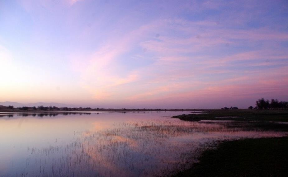 春游腾格尔沙漠, 篝火, 烧烤, 看星星, 谈人生, 感