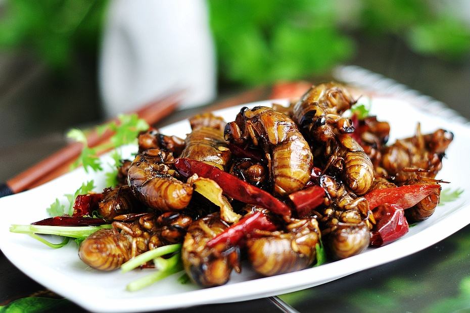 山东名吃:油炸蜈蚣、蝎子、金蝉、黄粉虫