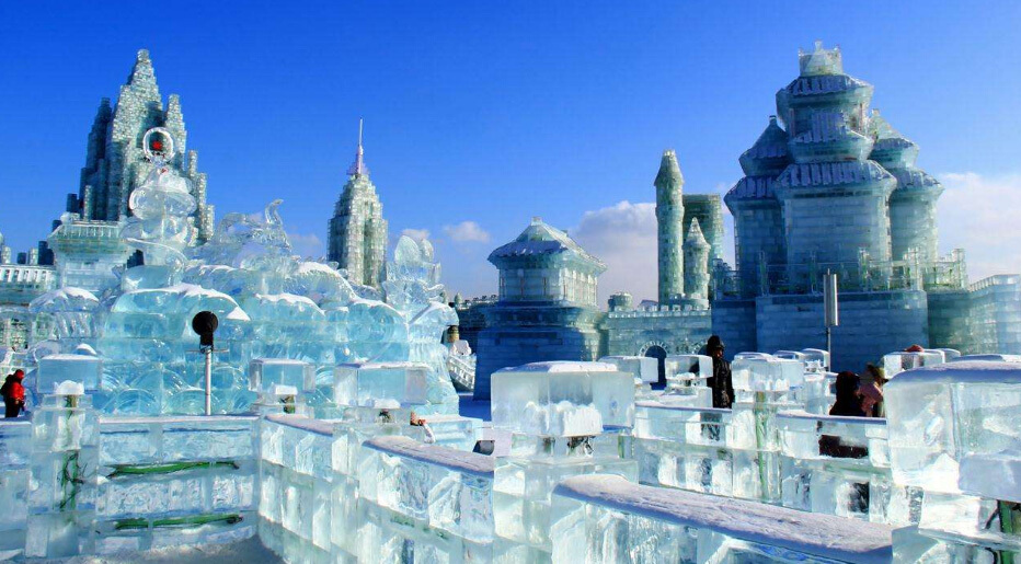 哈尔滨体育馆与高校合作共建体育实训基地