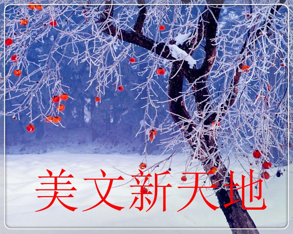 精彩的初三生活