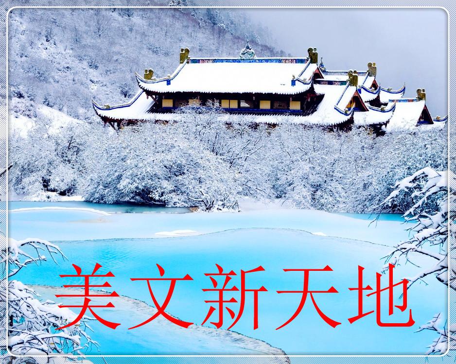 精彩的初三生活