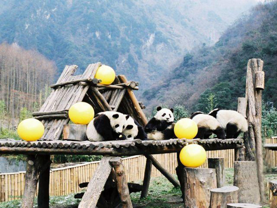 为什么国人越来越喜欢出国游,原因这样多!