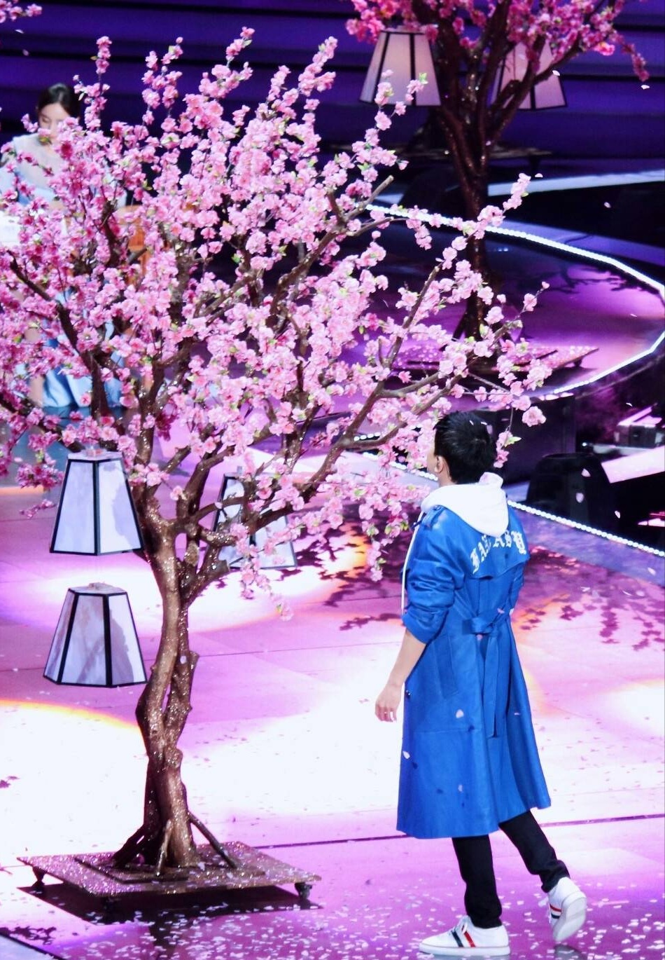 杨幂张杰 三生三世 跨年演唱会