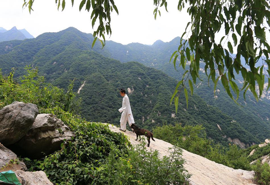 终南山总人口_终南山简笔画