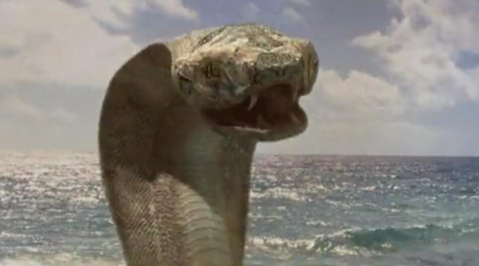 当变异的蜥蜴和变异的蟒蛇互咬, 谁能赢? 电影《科莫多龙VS金刚巨蟒》