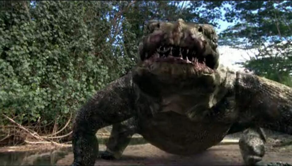 当变异的蜥蜴和变异的蟒蛇互咬, 谁能赢? 电影《科莫多龙VS金刚巨蟒》