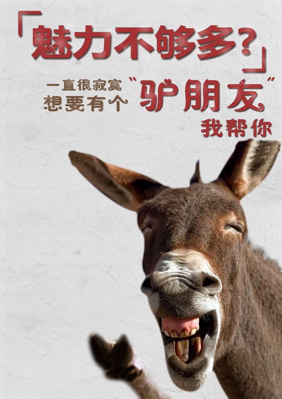 搞笑驴图片,原来驴笑起来这么搞笑,看一次笑一次