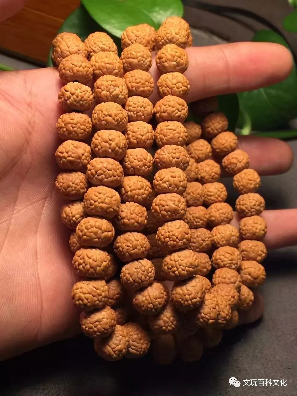 龙鳞纹小金方
