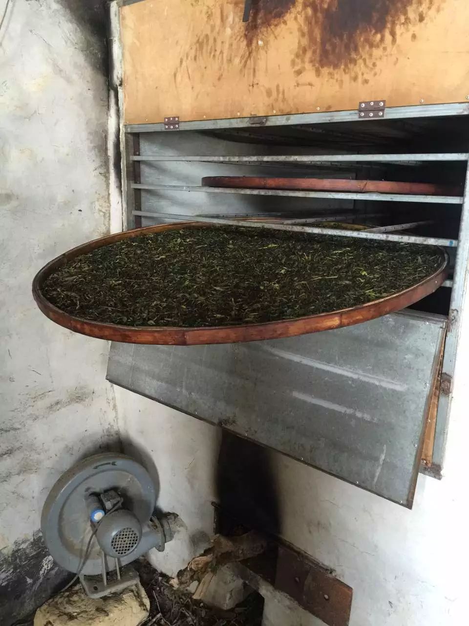 柴火烘干,第一次焙火.