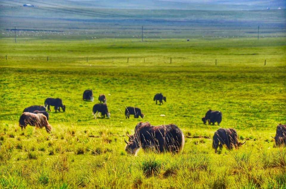 男生为什么喜欢和身高155的女生谈恋爱?