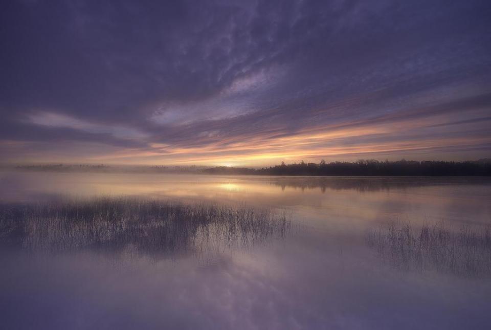 可以倒读的诗词