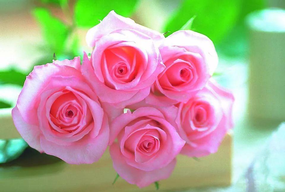 早安的说说经典短句