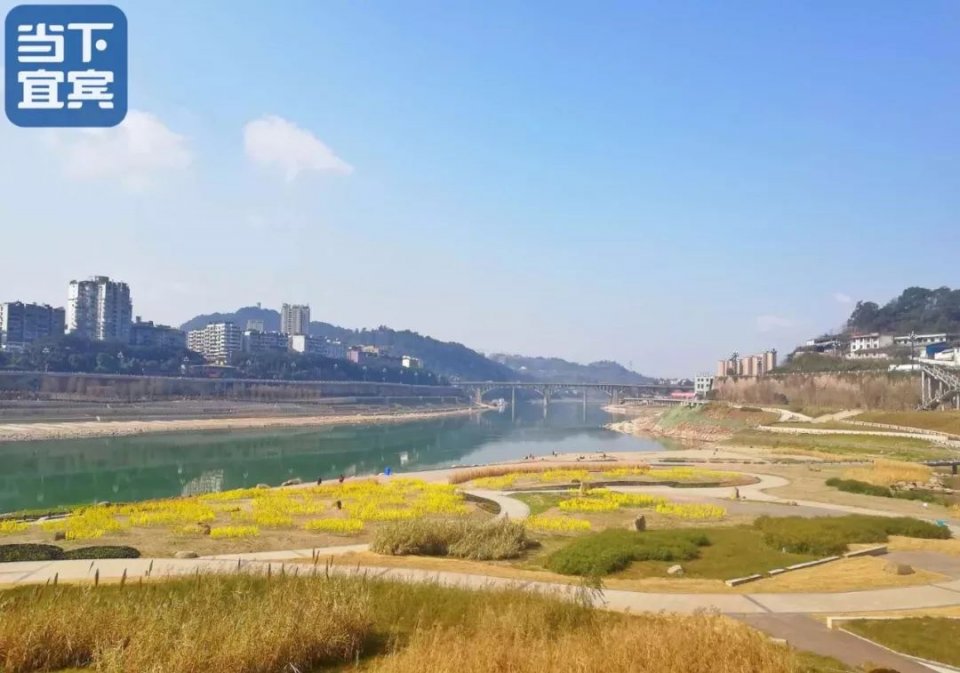 宜宾江边太美啦还藏了瀑布有海棠菜花可以骑行散步烧烤