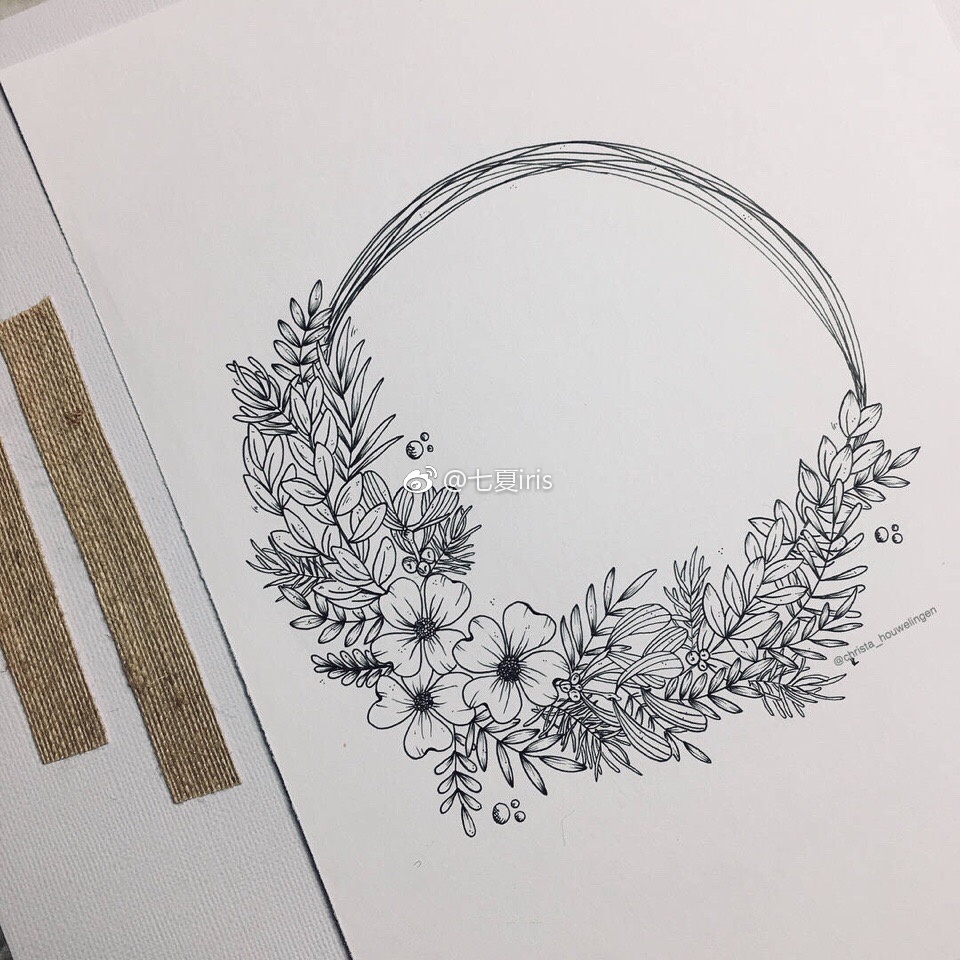 手绘黑白植物线稿~ins:christa_houwelingen