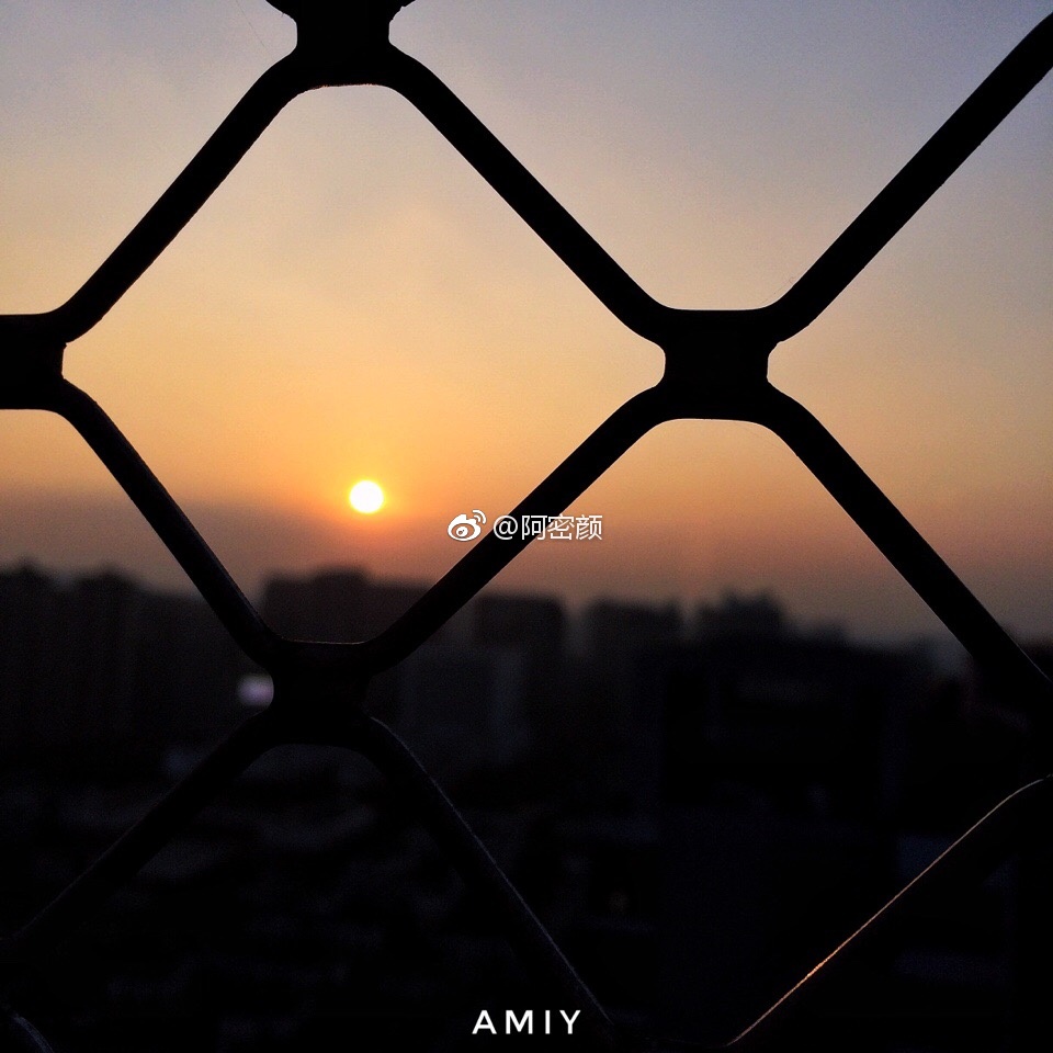 回首来时路,又是一年过去了。想想这一年得到