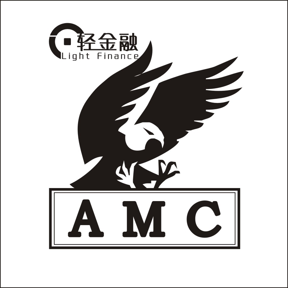 轻金融不良资产