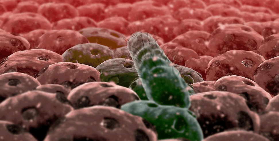 人类可以捏死手上的细菌吗? 科学答案让人哭笑不得, 不信你试试!|细菌 