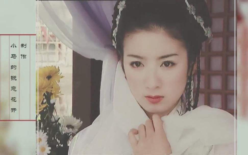 新女驸马电视剧图片