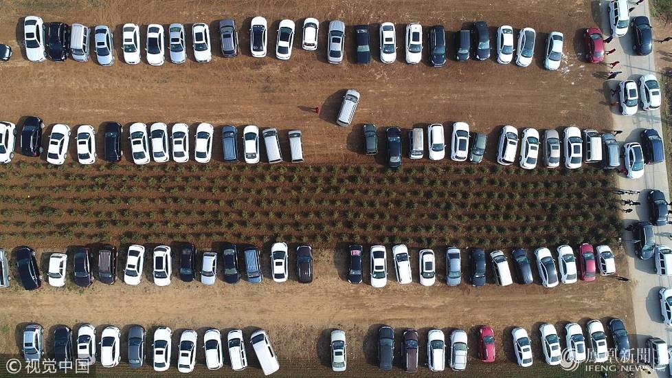 2000元1天的收入,春节村民改麦田为临时停车