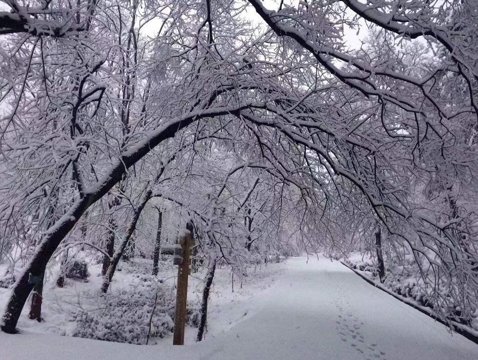 自驾游下雪天气怎么样_(自驾游下雪天气怎么样了)