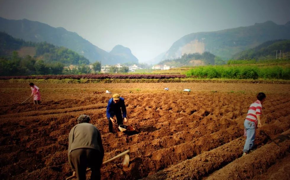 2018年农业直补发放规则及时间确定!速看!