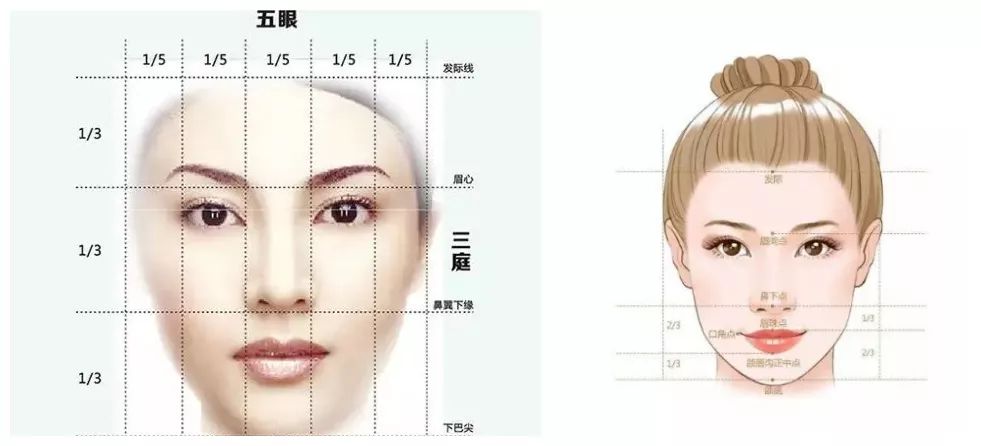 【鼻部审美分析】不露鼻孔就是好鼻子?