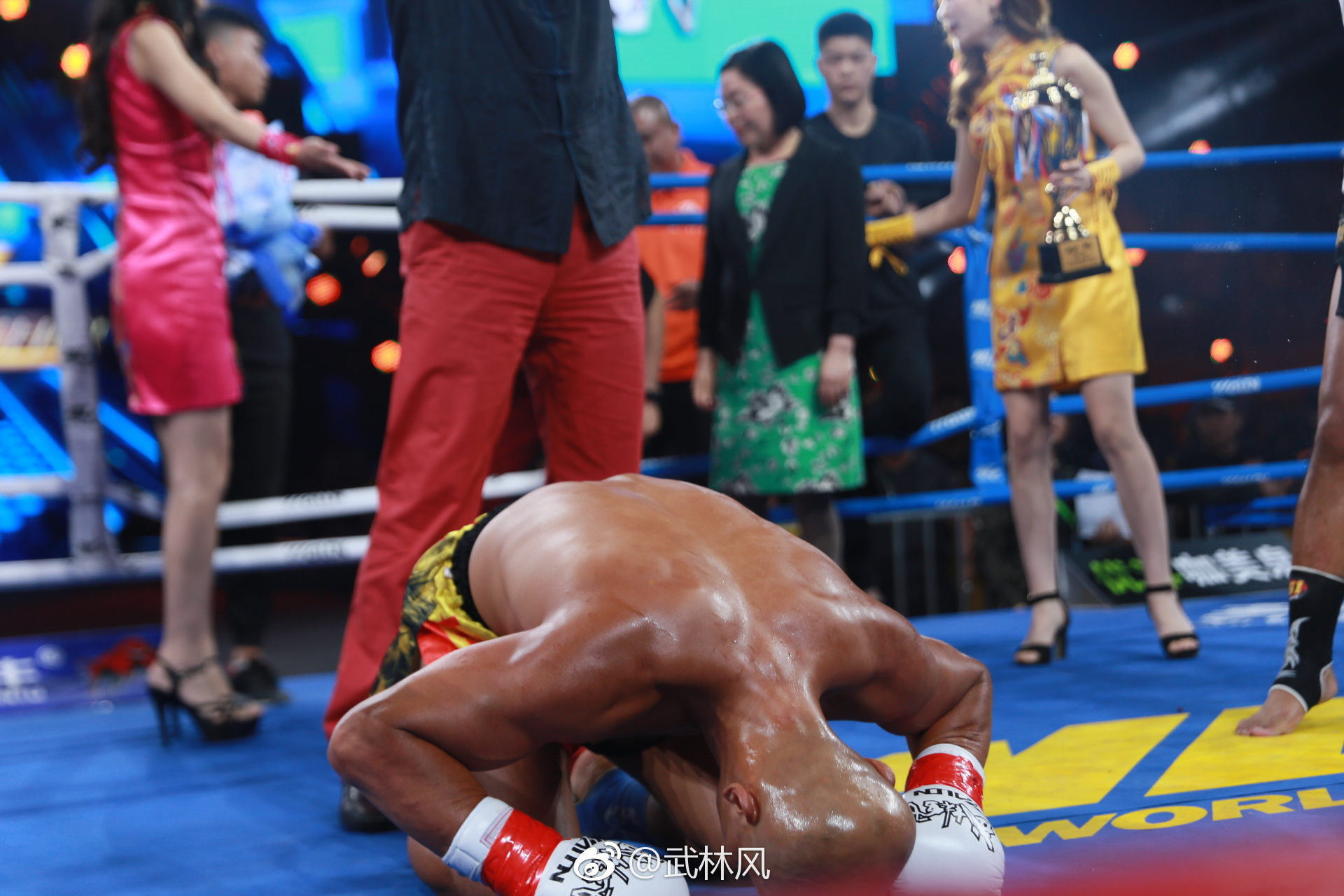 一龙VS杀玉狼 结果出乎意料…