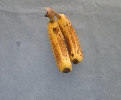 香蕉不要放进冰箱保鲜,教你一招保存香蕉很久