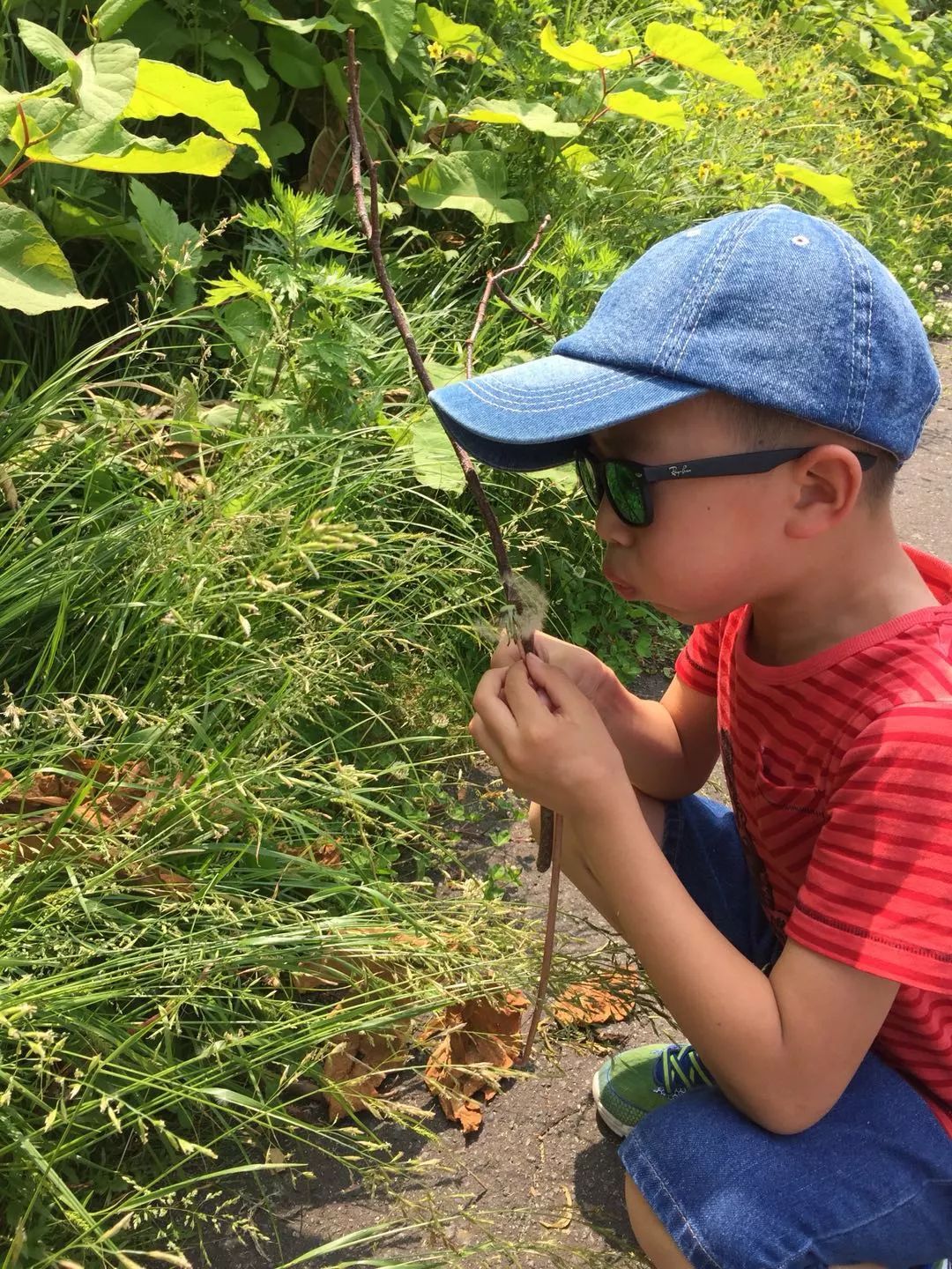 带娃 | 北海道6日5晚游玩攻略