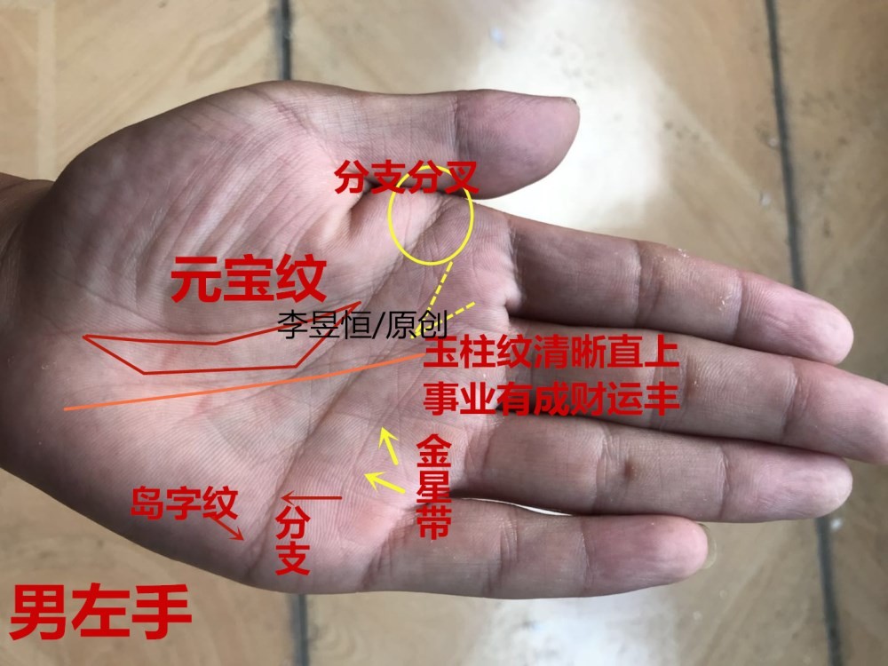 最富贵的12种手相特征