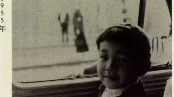 北影节没看到坂本龙一?纪录片带你了解他真实