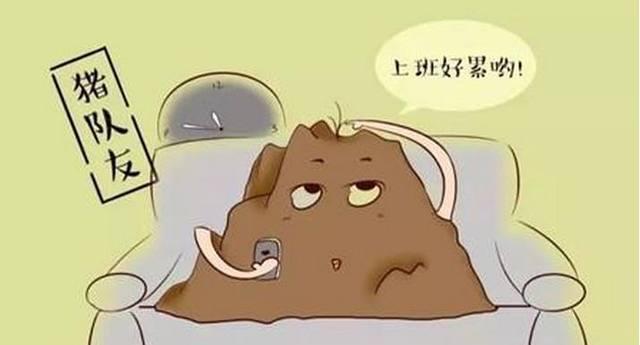 你嫁的是"好老公"还是"猪队友"? 几张图帮你看清